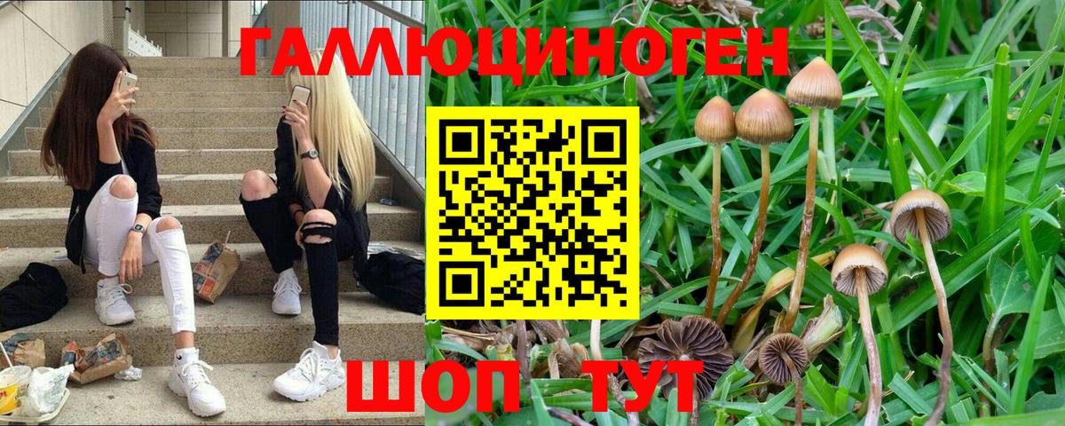 Арзамас  Галлюциногенные грибы GOLDEN TEACHER  Галлюциногенные грибы Psilocybe  где купить   Вход с VPN 